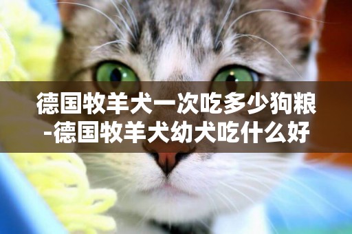 德國牧羊犬一次吃多少狗糧-德國牧羊犬幼犬吃什么好