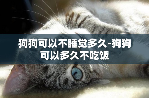 狗狗可以不睡覺多久-狗狗可以多久不吃飯