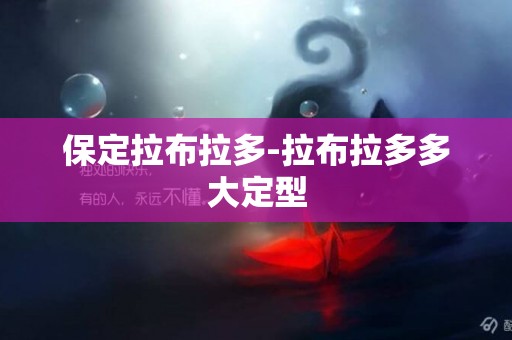 保定拉布拉多-拉布拉多多大定型