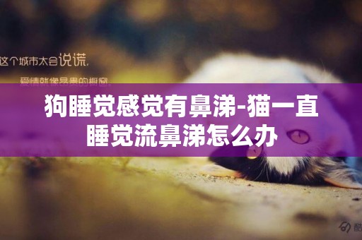 狗睡覺感覺有鼻涕-貓一直睡覺流鼻涕怎么辦