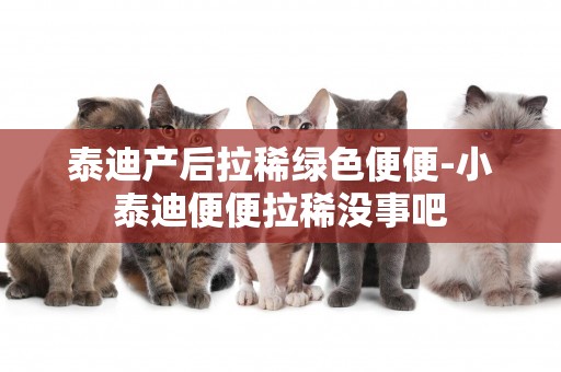 泰迪產后拉稀綠色便便-小泰迪便便拉稀沒事吧