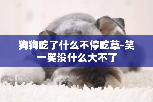 狗狗吃了什么不停吃草-笑一笑沒什么大不了