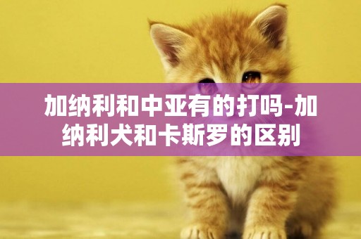 加納利和中亞有的打嗎-加納利犬和卡斯羅的區別