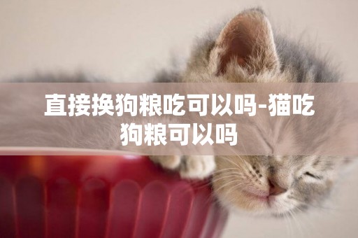 直接換狗糧吃可以嗎-貓吃狗糧可以嗎