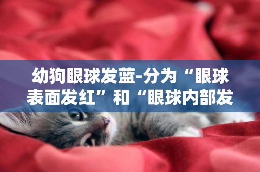 幼狗眼球發藍-分為“眼球表面發紅”和“眼球內部發紅”