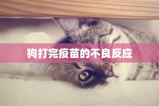 狗打完疫苗的不良反應