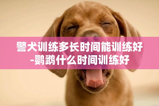警犬訓練多長時間能訓練好-鸚鵡什么時間訓練好