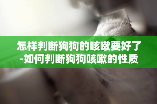 怎樣判斷狗狗的咳嗽要好了-如何判斷狗狗咳嗽的性質