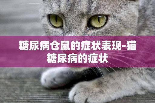 糖尿病倉鼠的癥狀表現-貓糖尿病的癥狀