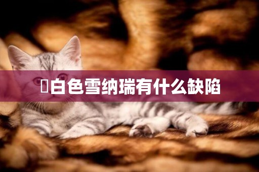?白色雪納瑞有什么缺陷