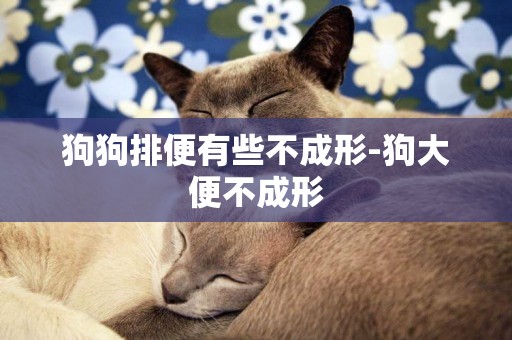 狗狗排便有些不成形-狗大便不成形