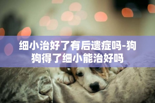 細小治好了有后遺癥嗎-狗狗得了細小能治好嗎