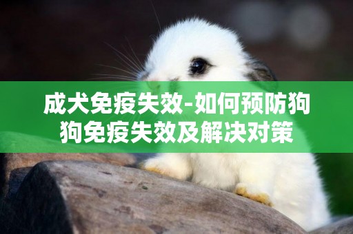 成犬免疫失效-如何預防狗狗免疫失效及解決對策