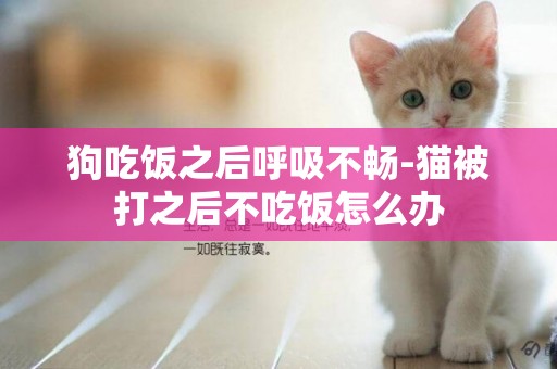 狗吃飯之后呼吸不暢-貓被打之后不吃飯怎么辦
