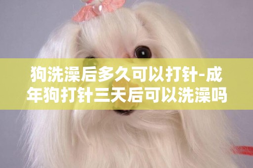 狗洗澡后多久可以打針-成年狗打針三天后可以洗澡嗎