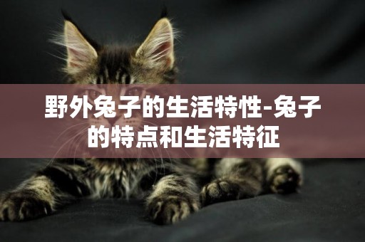 野外兔子的生活特性-兔子的特點和生活特征