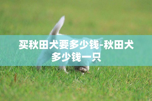 買秋田犬要多少錢-秋田犬多少錢一只