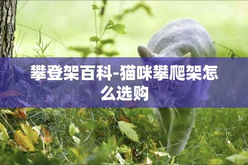 攀登架百科-貓咪攀爬架怎么選購