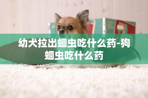 幼犬拉出蛔蟲吃什么藥-狗蛔蟲吃什么藥