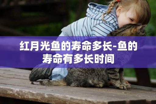 紅月光魚的壽命多長-魚的壽命有多長時間