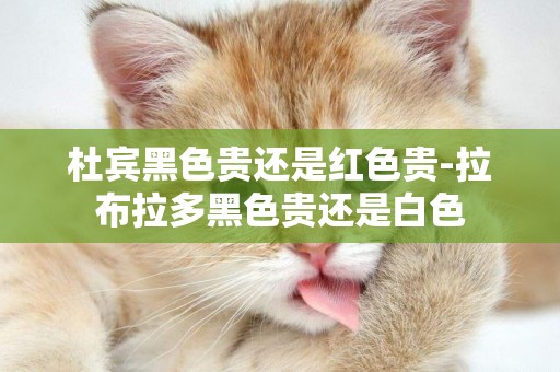 杜賓黑色貴還是紅色貴-拉布拉多黑色貴還是白色