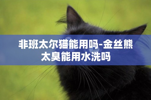 非班太爾貓能用嗎-金絲熊太臭能用水洗嗎