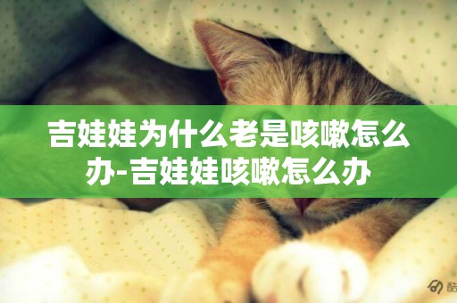吉娃娃為什么老是咳嗽怎么辦-吉娃娃咳嗽怎么辦