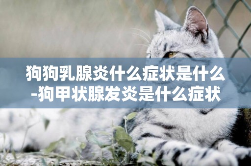 狗狗乳腺炎什么癥狀是什么-狗甲狀腺發炎是什么癥狀