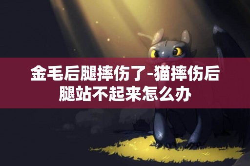 金毛后腿摔傷了-貓摔傷后腿站不起來怎么辦