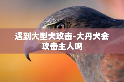 遇到大型犬攻擊-大丹犬會攻擊主人嗎