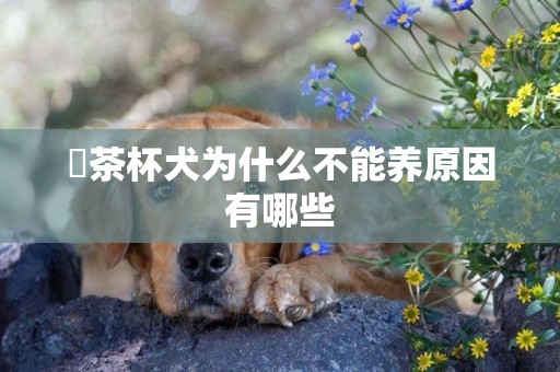 ?茶杯犬為什么不能養原因有哪些