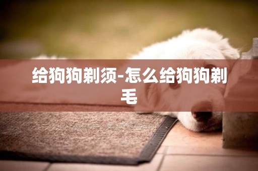 給狗狗剃須-怎么給狗狗剃毛