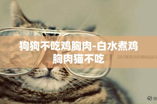 狗狗不吃雞胸肉-白水煮雞胸肉貓不吃