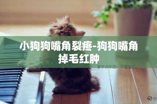 小狗狗嘴角裂疼-狗狗嘴角掉毛紅腫
