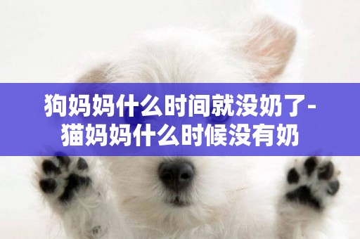 狗媽媽什么時間就沒奶了-貓媽媽什么時候沒有奶