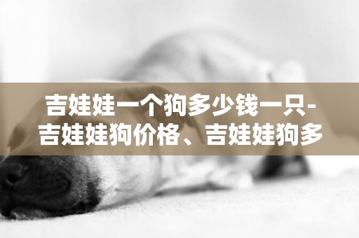 吉娃娃一個狗多少錢一只-吉娃娃狗價格、吉娃娃狗多少錢一只