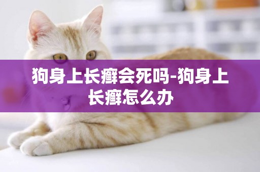 狗身上長癬會死嗎-狗身上長癬怎么辦