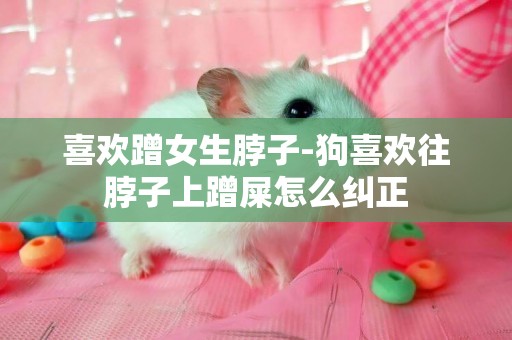喜歡蹭女生脖子-狗喜歡往脖子上蹭屎怎么糾正