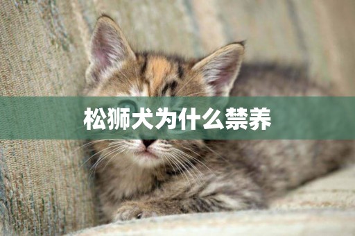 松獅犬為什么禁養