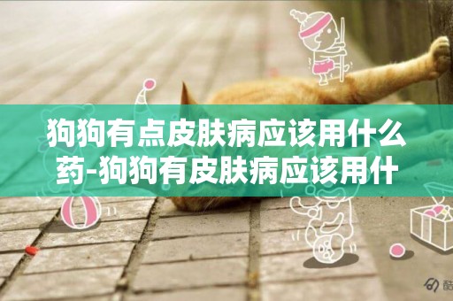 狗狗有點皮膚病應該用什么藥-狗狗有皮膚病應該用什么洗澡
