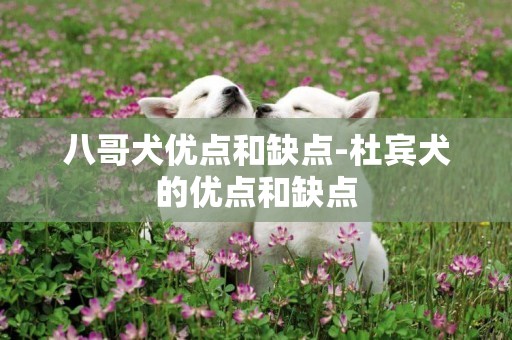 八哥犬優點和缺點-杜賓犬的優點和缺點