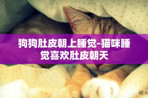 狗狗肚皮朝上睡覺-貓咪睡覺喜歡肚皮朝天