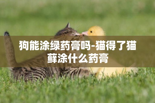 狗能涂綠藥膏嗎-貓得了貓蘚涂什么藥膏