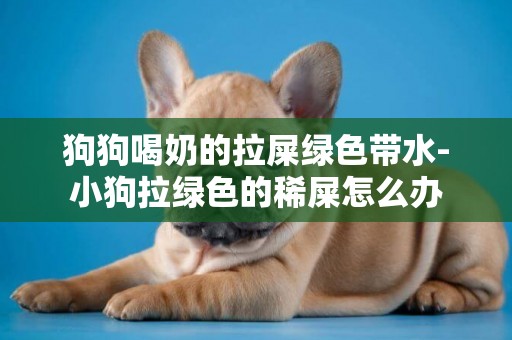 狗狗喝奶的拉屎綠色帶水-小狗拉綠色的稀屎怎么辦