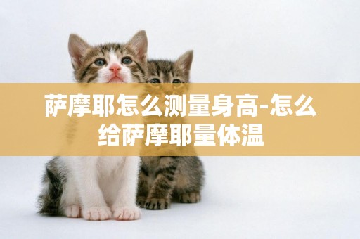 薩摩耶怎么測量身高-怎么給薩摩耶量體溫