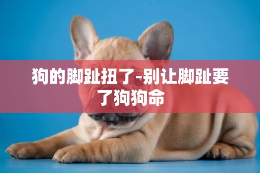 狗的腳趾扭了-別讓腳趾要了狗狗命