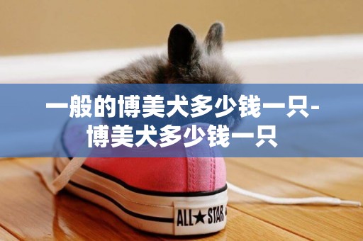一般的博美犬多少錢一只-博美犬多少錢一只