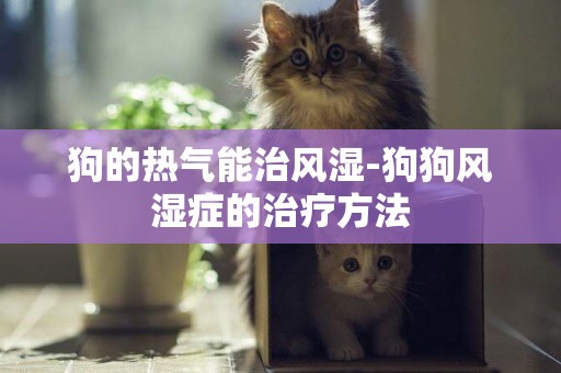 狗的熱氣能治風濕-狗狗風濕癥的治療方法