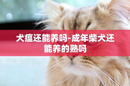 犬瘟還能養嗎-成年柴犬還能養的熟嗎