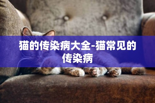 貓的傳染病大全-貓常見的傳染病